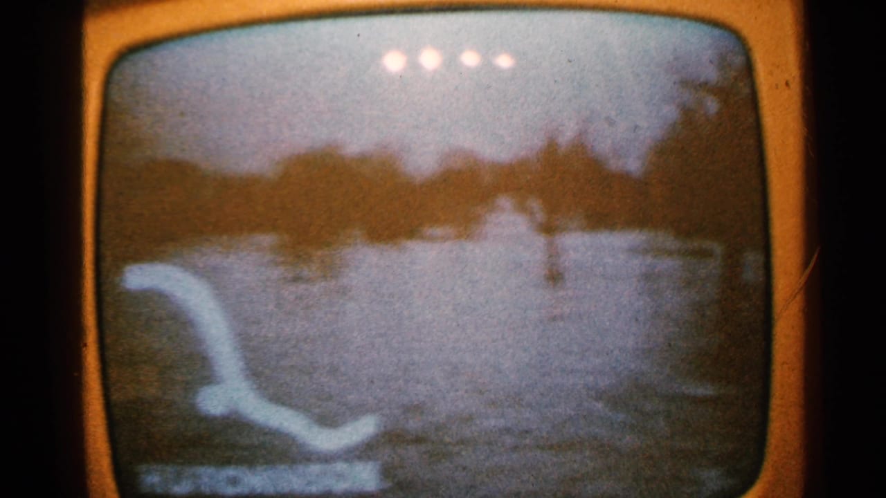 Orange television screen with flood water, dark tree line, glare spots, and a pale curved shape at left.