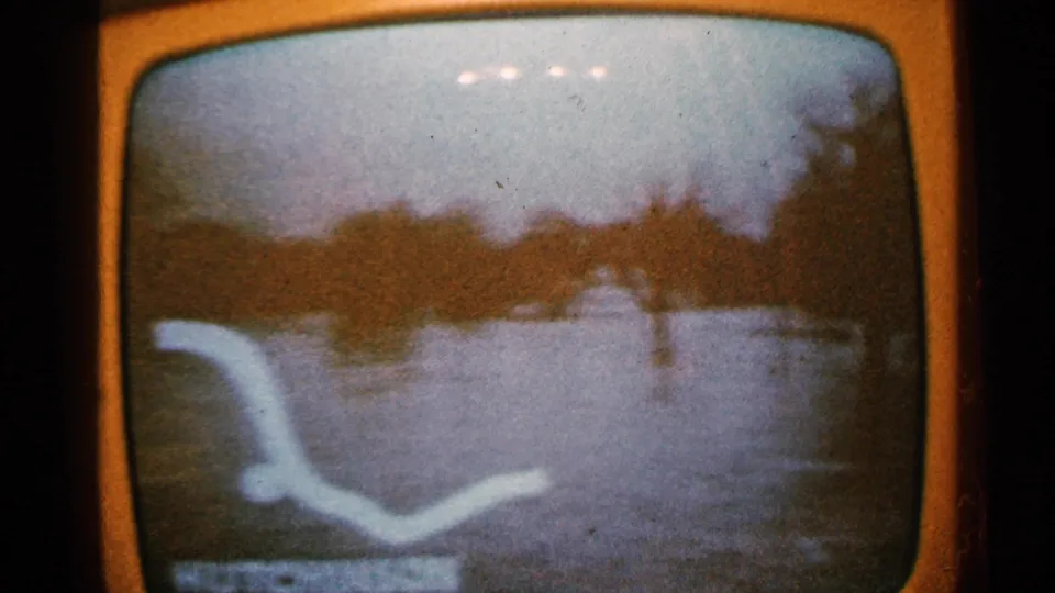 1965 Minnesota 8mm still of a television broadcast with flood water, distant trees, and a pale map-like or route-shaped line on screen.