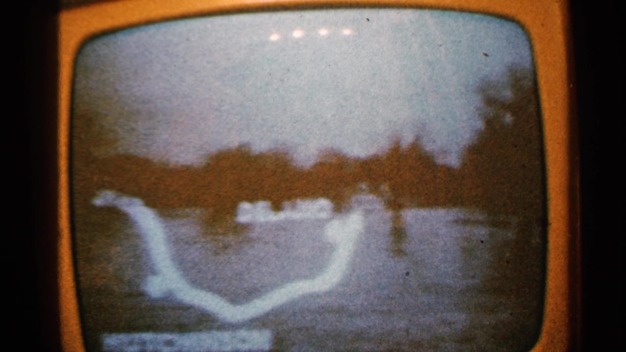 Curved television screen showing a river-like white outline over a flooded landscape.