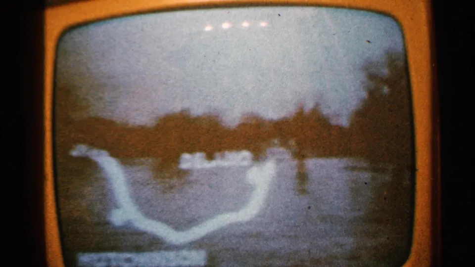 1965 Minnesota 8mm frame of a television broadcast showing a pale river or flood map overlay against dark water and trees.