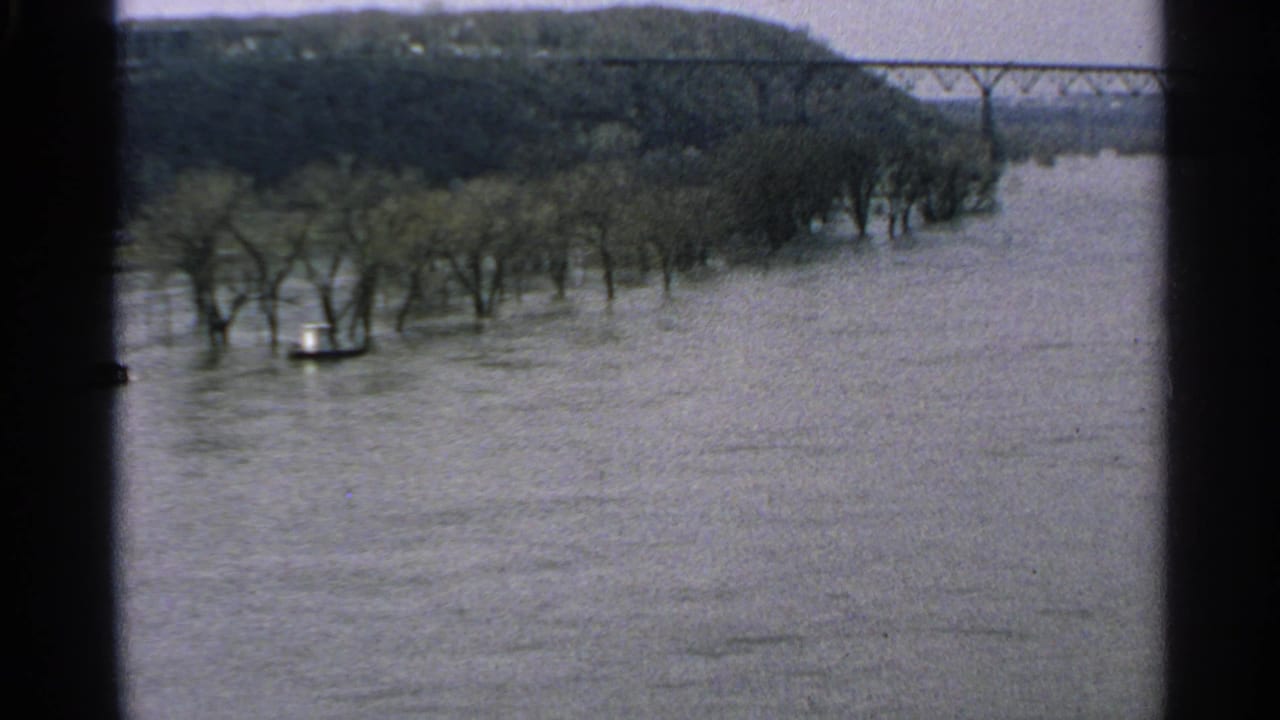 High river water with submerged trees and a distant steel truss bridge.