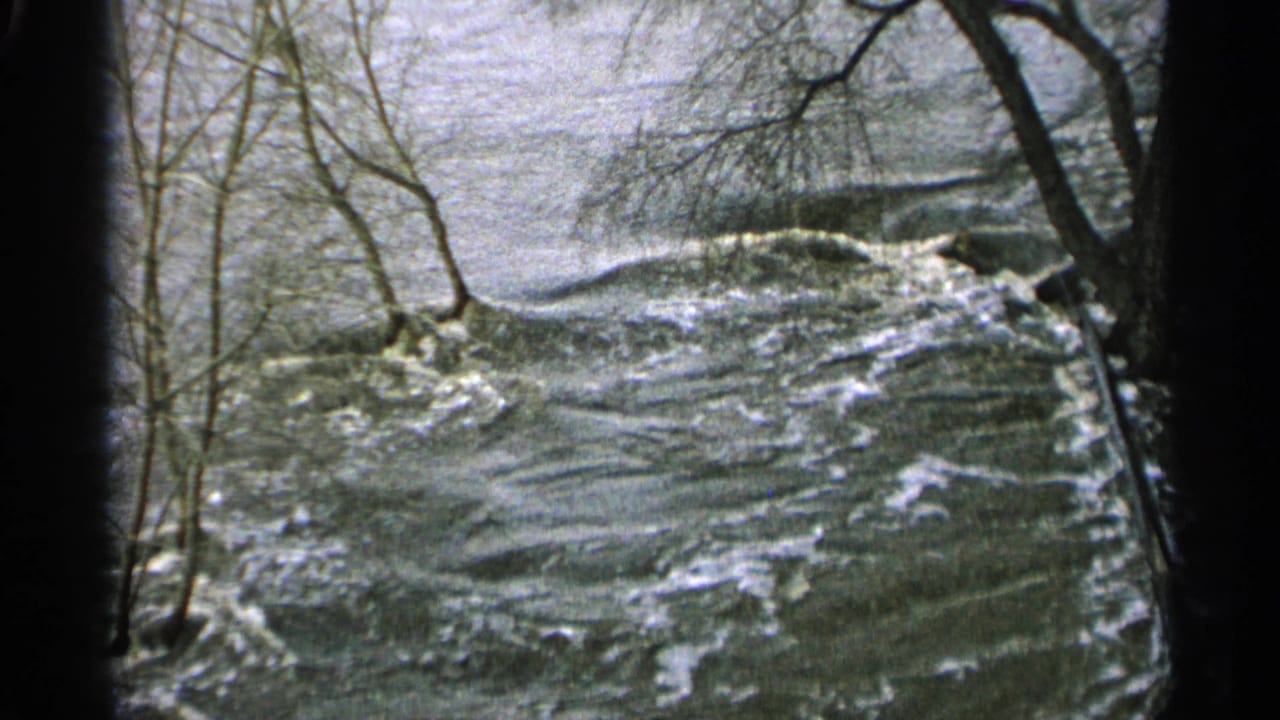 Churning floodwater beside bare trees on a riverbank.