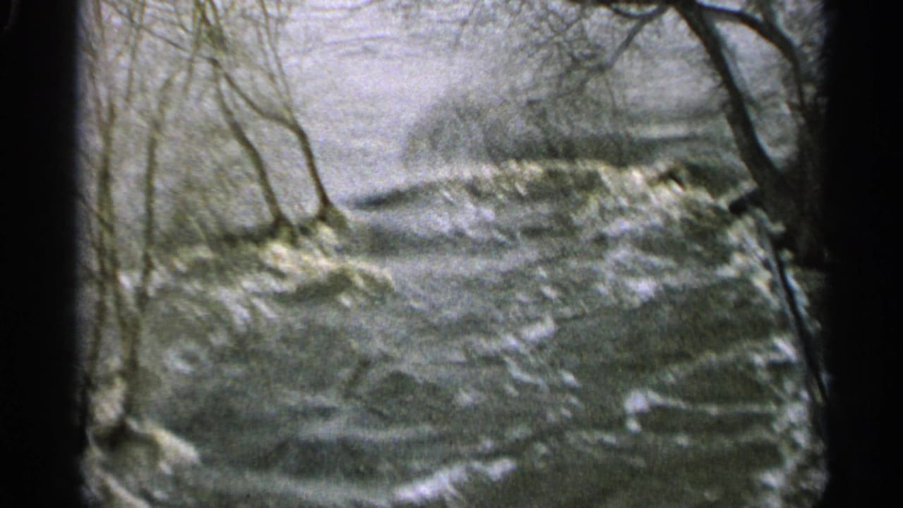 1965 Minnesota flood scene with swirling water, foam, and leafless trees along the bank.