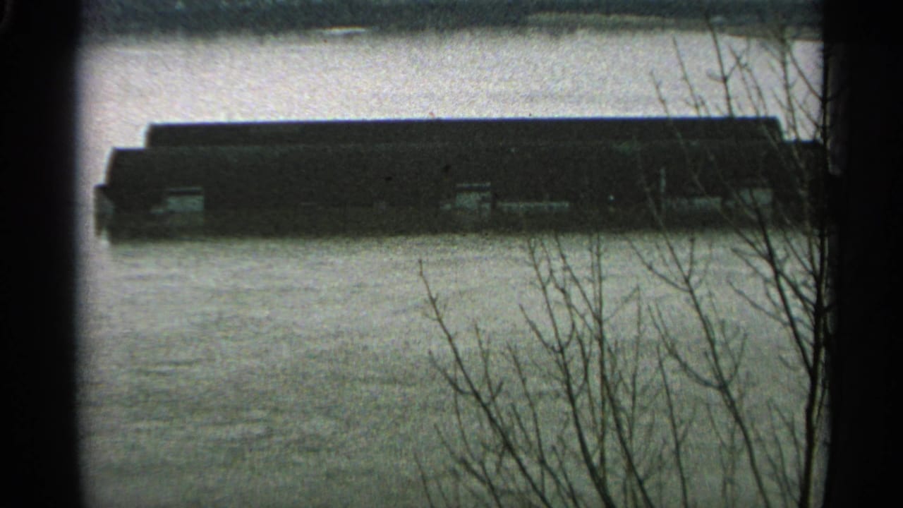 1965 Minnesota flood view of a long industrial structure standing in high water, seen through bare branches at the frame edge.