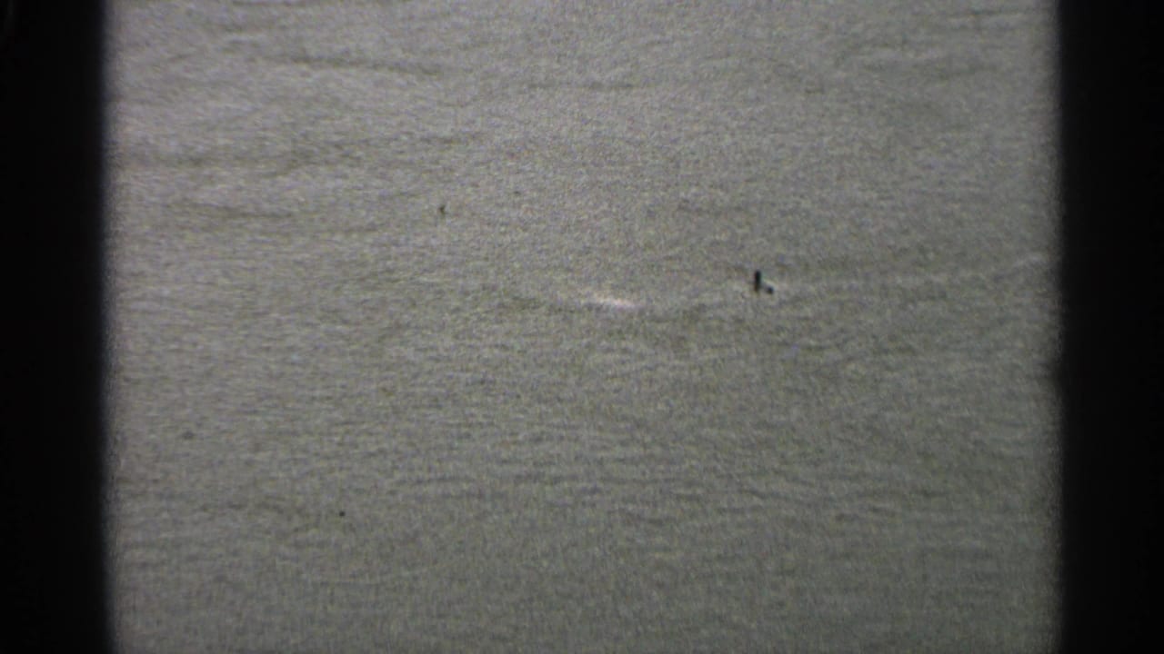 Open floodwater in the Minnesota scene, with a few small posts or markers standing above the rippled water surface.
