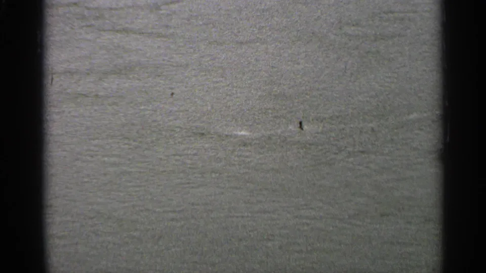 A broad flooded surface in the 1965 Minnesota footage shows a small upright marker and pale ripples across the water.