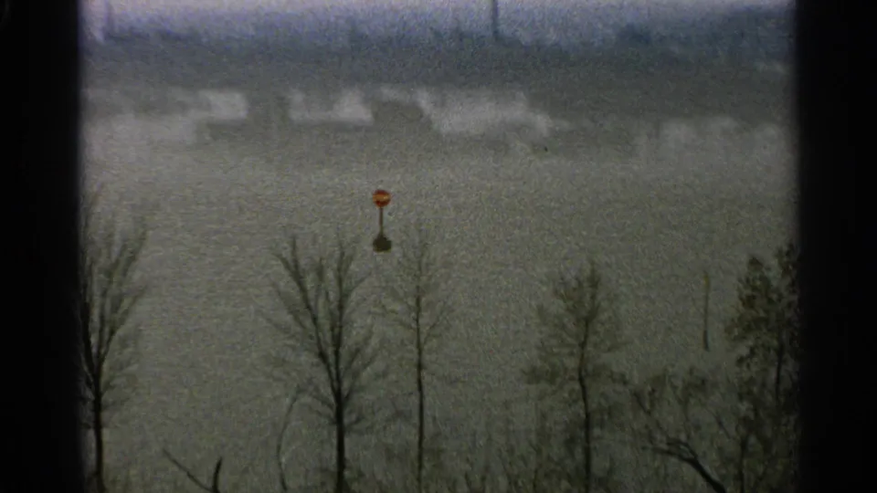 1965 Minnesota flood scene with bare trees at the waterline and a small red marker or buoy in high water.