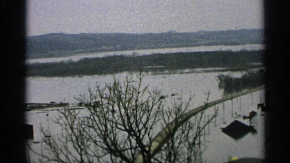 1965 Minnesota 8mm frame with a leafless foreground tree, flooded lowland water, distant shoreline, and low hills under a gray sky.