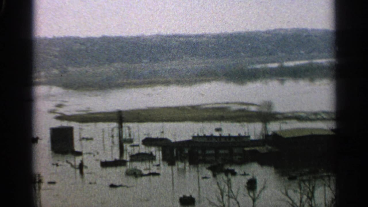 Flooded waterfront with docks, boats, buildings, bare trees, and a distant wooded shore.