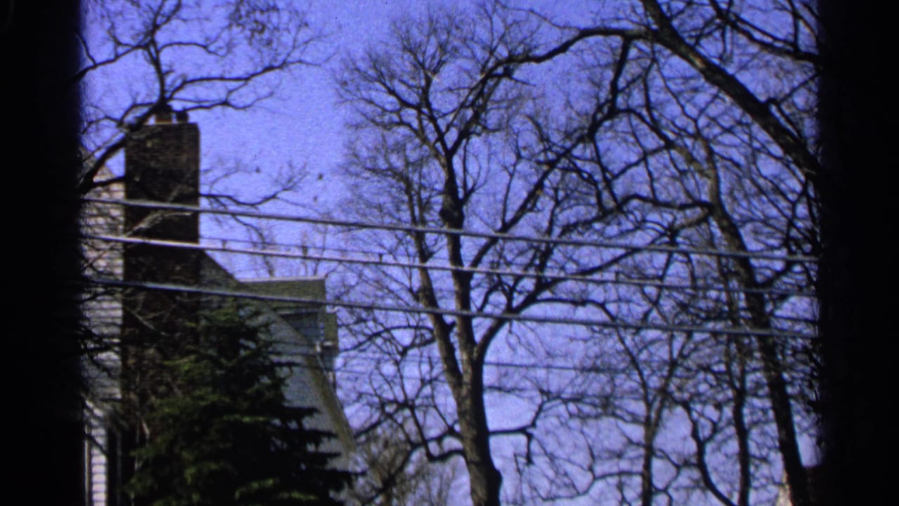 Leafless trees and overhead wires in front of a house with a chimney.