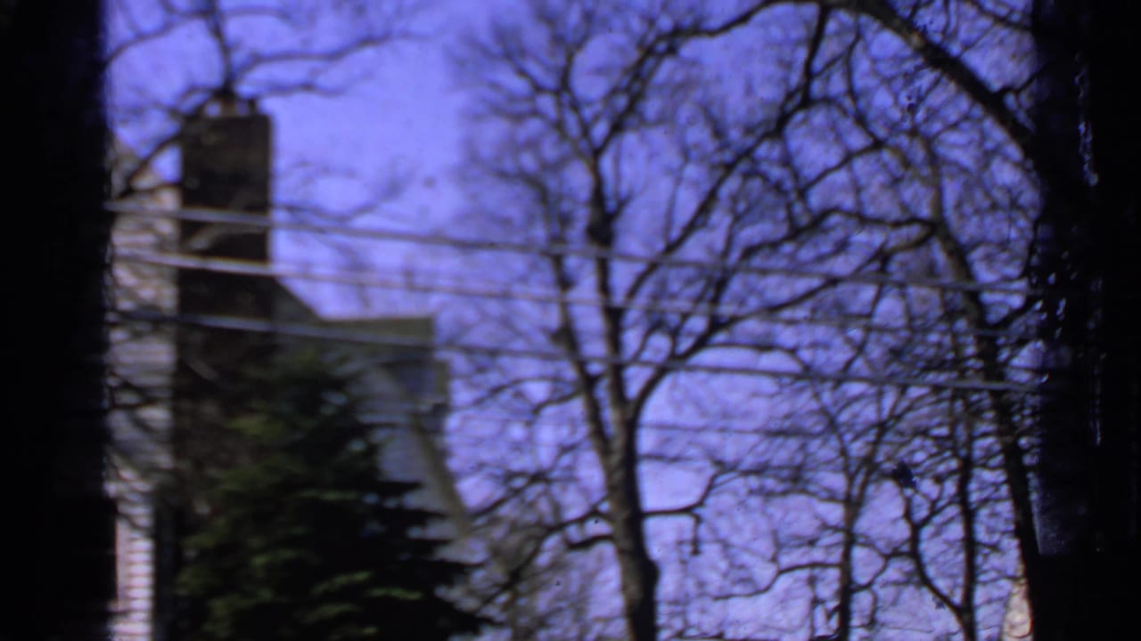 Chimneyed house partly obscured by bare trees and dark foreground framing.