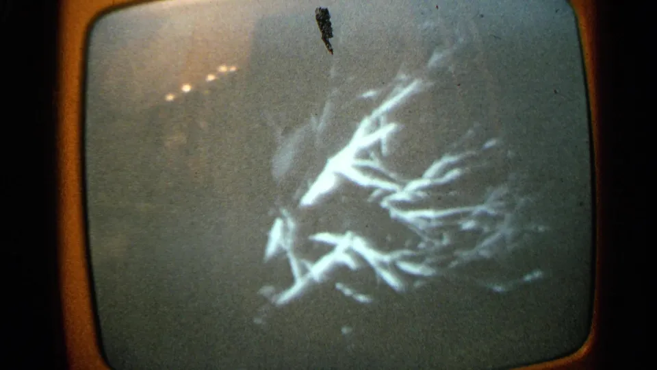 Close 8mm frame of an analog TV screen with snowy texture, bright branching shapes, and visible screen-edge glow.