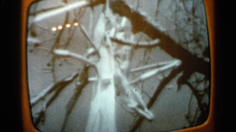 1965 8mm frame showing a television close-up of tangled storm debris and branches in a snowy setting.