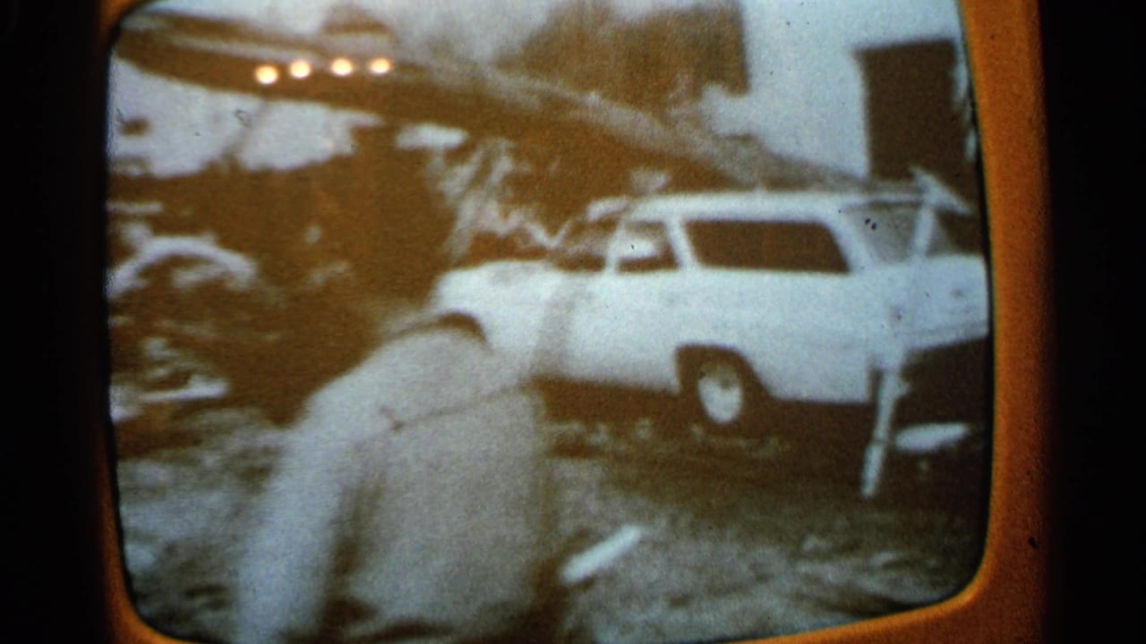 Person seen from behind near a white station wagon and fallen tree debris.