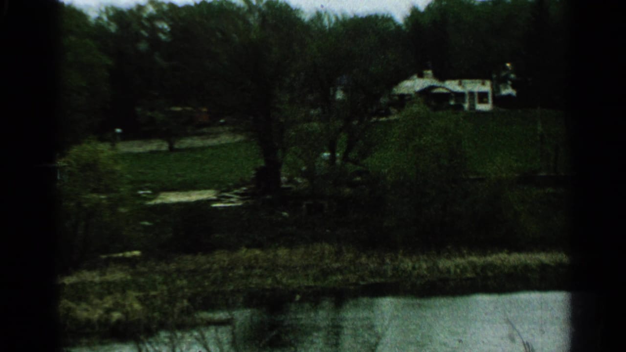 1965 Minnesota lakeside view with a distant light-colored house, green lawn, trees, reeds, and water in front.