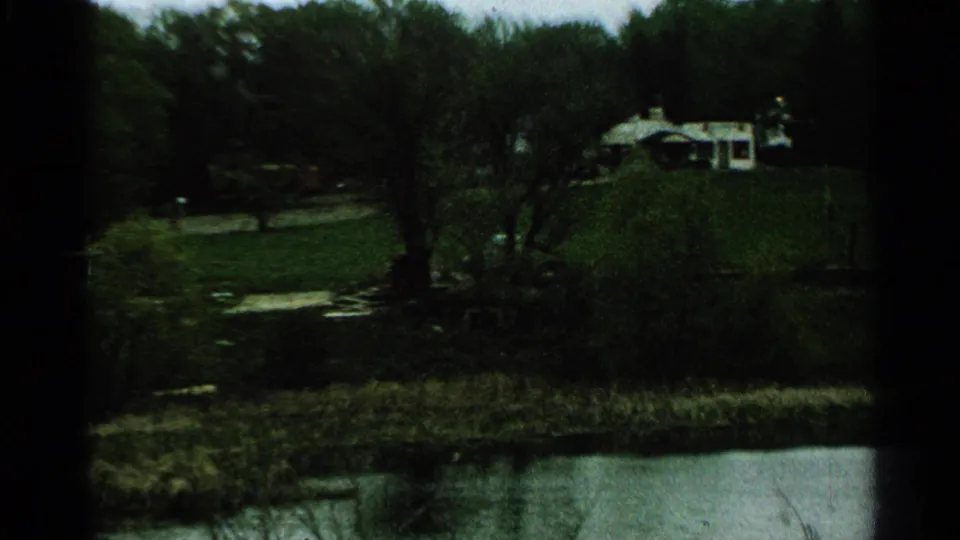 1965 Minnesota lakeside view with a distant light-colored house, green lawn, trees, reeds, and water in front.