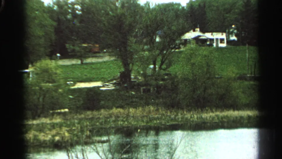 1965 Minnesota lakeside frame showing a green field, mature trees, reeds, water, and a distant house.