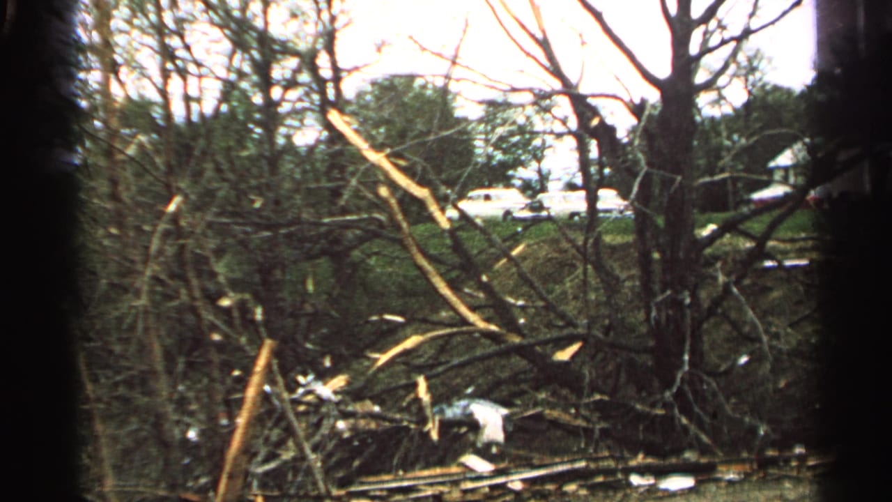 1965 Minnesota home-movie frame with broken brush, bare limbs, scattered debris, and distant cars beyond the trees.
