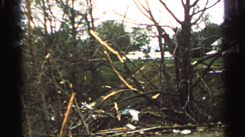 1965 Minnesota home-movie frame with broken brush, bare limbs, scattered debris, and distant cars beyond the trees.