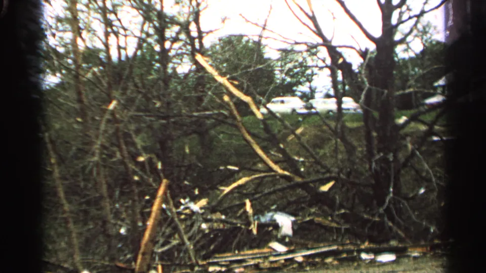 1965 Minnesota 8mm frame showing stormlike tree damage, tangled brambles, debris, and pale cars partly visible in the background.