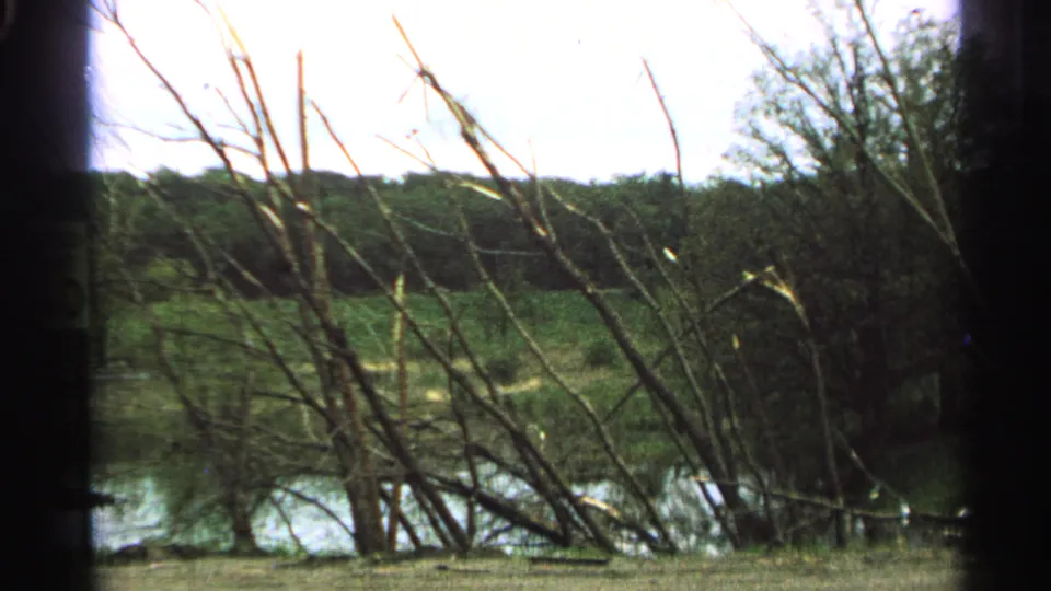 1965 Minnesota home-movie frame of bare streamside branches, water, grassy ground, and wooded hills beyond.