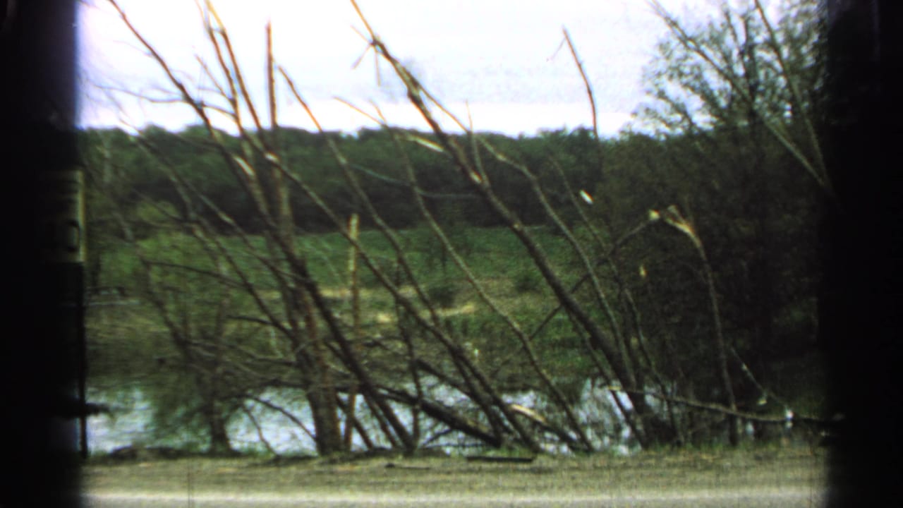 1965 Minnesota home-movie view of tangled foreground branches, swamp water, green brush, and dark film gate edges.
