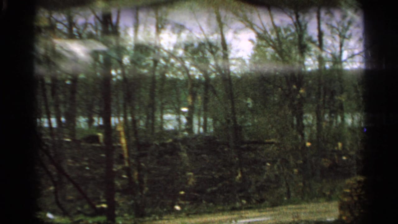1965 Minnesota home-movie view across bare trees and brush toward water, with dark 8mm frame edges visible.