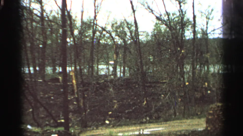 1965 Minnesota home-movie frame of leafless trees and brush with water behind them, seen in soft grainy 8mm color.