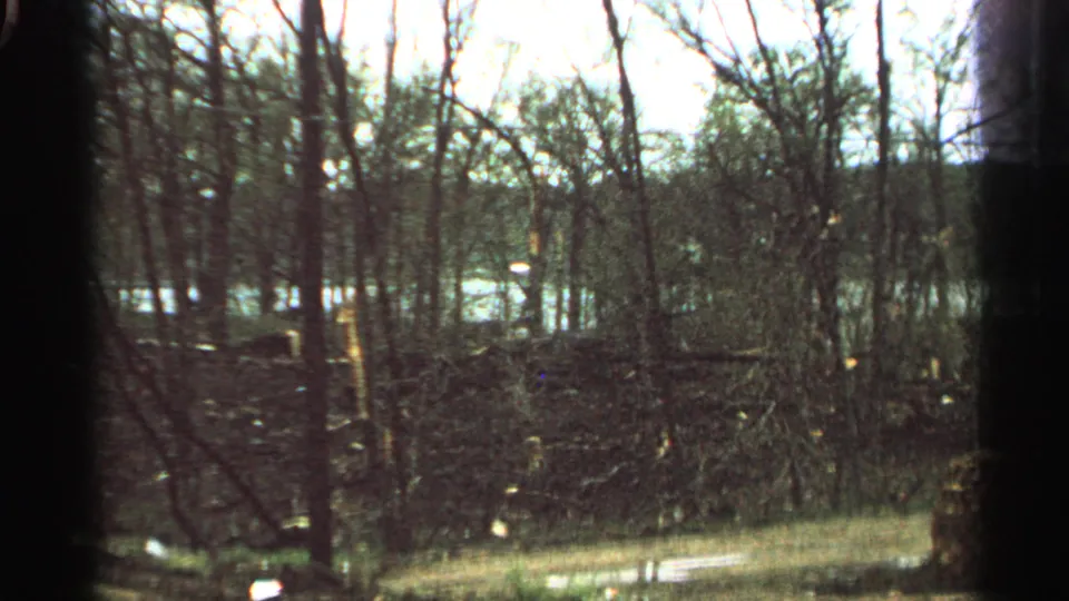 1965 Minnesota home-movie frame showing tangled brush, bare trees, a grassy strip, and water beyond the wooded edge.