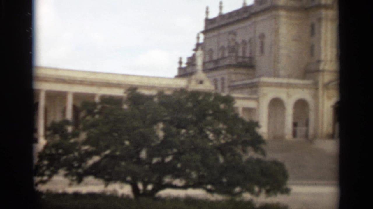 Grand stone building partly obscured by a large tree and dark film gate edges.