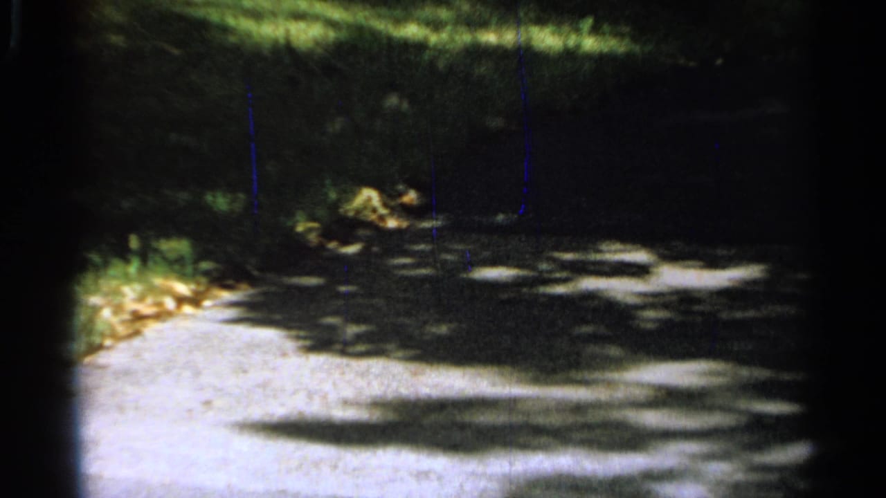 A dark, grainy 1965 8mm frame from Saint Louis shows a shaded path or roadway before the procession appears.