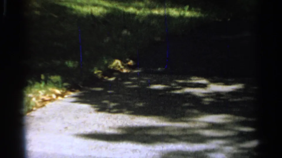 A dark, grainy 1965 8mm frame from Saint Louis shows a shaded path or roadway before the procession appears.