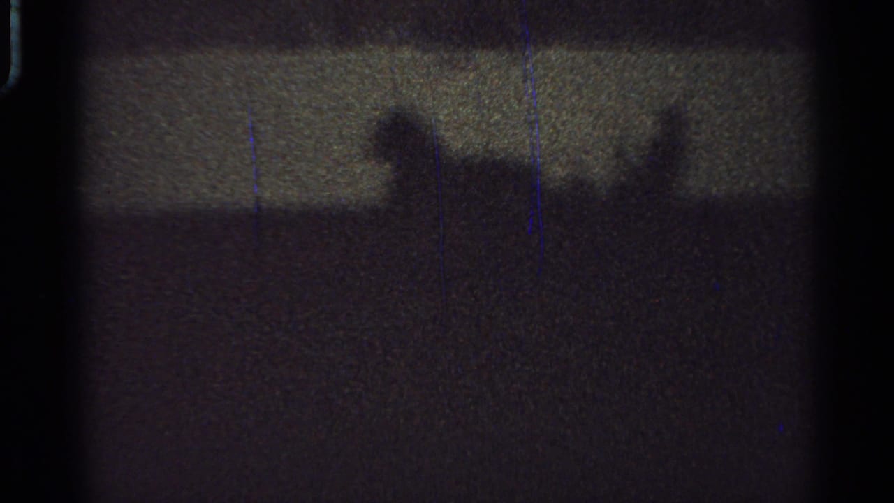 1965 Saint Louis 8mm frame with broad indistinct shadow forms crossing a dark grainy surface under low exposure.