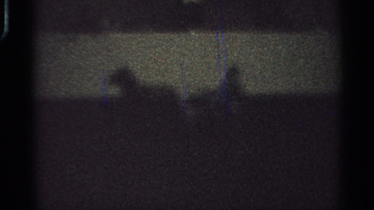A silhouetted horse and rider are faintly visible in the 1965 Saint Louis home-movie frame, with grain and blue scratches over the scan.