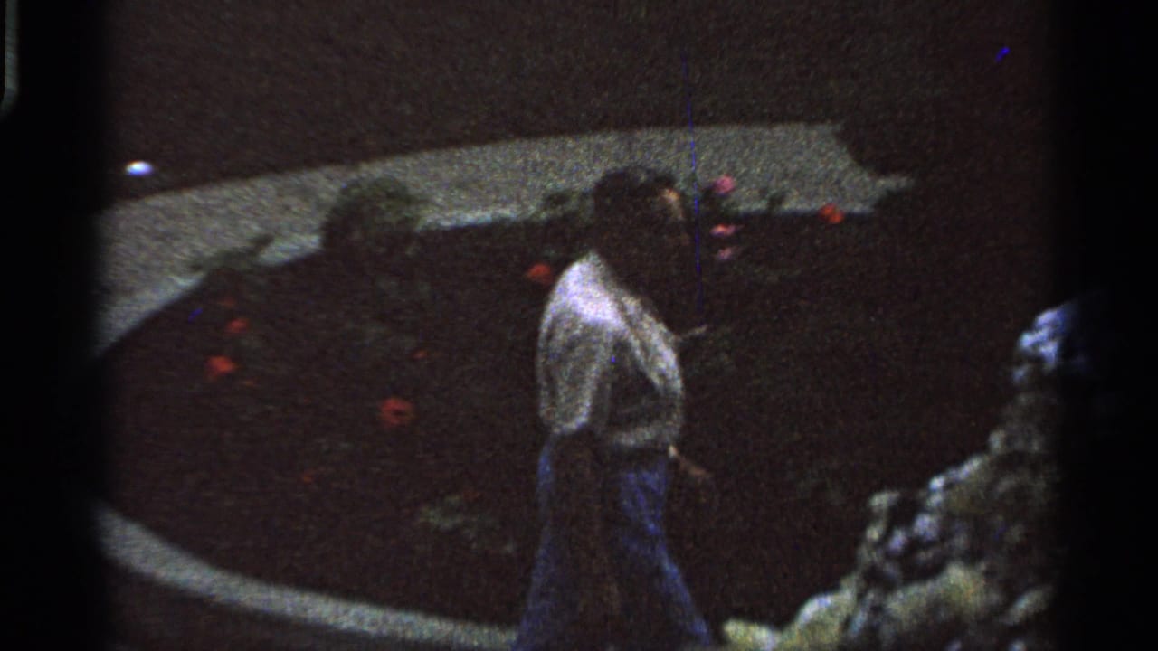 The adult figure continues past a curved bed with red flowers and rockwork in the 1965 Saint Louis home-movie scene.