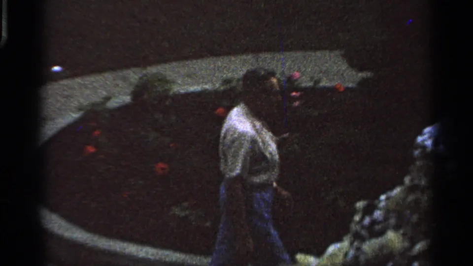 The adult figure continues past a curved bed with red flowers and rockwork in the 1965 Saint Louis home-movie scene.