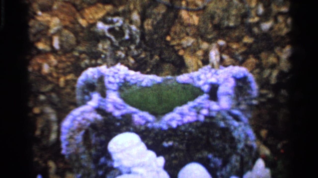 Close-up home-movie frame of a decorative ceramic piece with purple edges and green glaze, filmed after the outdoor camera scene.
