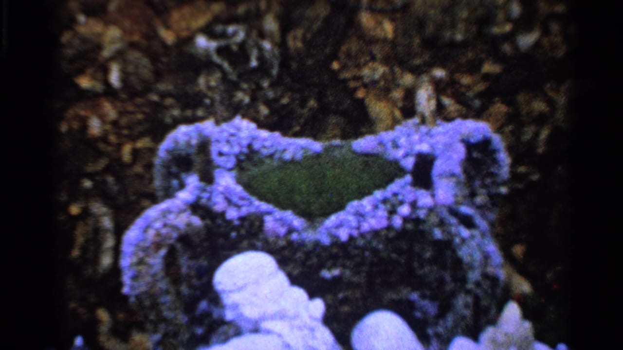 Metadata-supported 1965 home-movie close-up of a purple and green ceramic object, with soft focus and visible film grain.