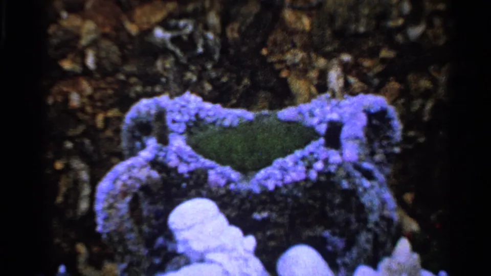 Metadata-supported 1965 home-movie close-up of a purple and green ceramic object, with soft focus and visible film grain.