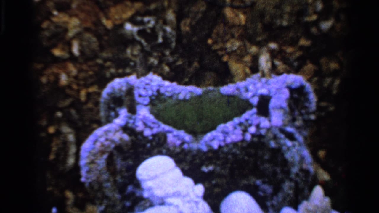 Close-up of a decorative ceramic piece with purple and green glaze, held in soft 8mm focus with dark frame edges.