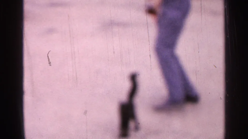 Soft-focus 1965 home-movie frame showing a small black cat on pavement with a man's legs nearby.