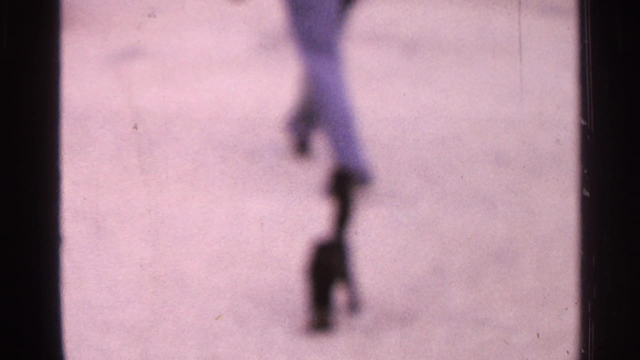 Soft-focus 1965 Saint Louis home-movie frame showing a person walking away near a small dark cat on a sidewalk.
