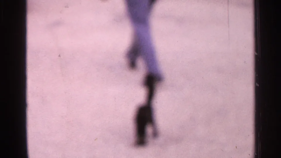 Soft-focus 1965 Saint Louis home-movie frame showing a person walking away near a small dark cat on a sidewalk.