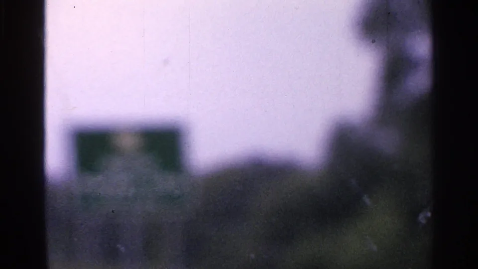 Blurred Saint Louis driving view with a green roadside sign and dark trees seen through soft 8mm color.