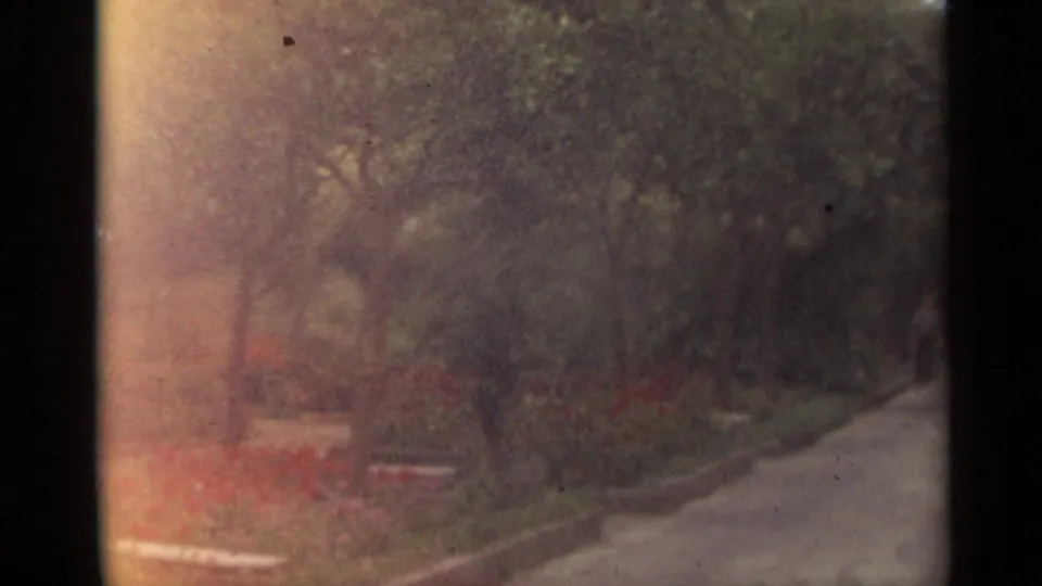 Faded 1965 Stockholm park view with leafy trees, red flower beds, benches, and a paved path curving through the scene.