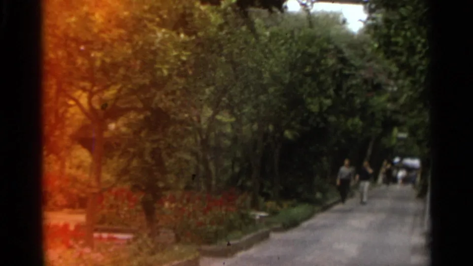 1965 Stockholm home-movie frame showing a shaded walkway, dense greenery, red plantings, benches, and distant people on the path.