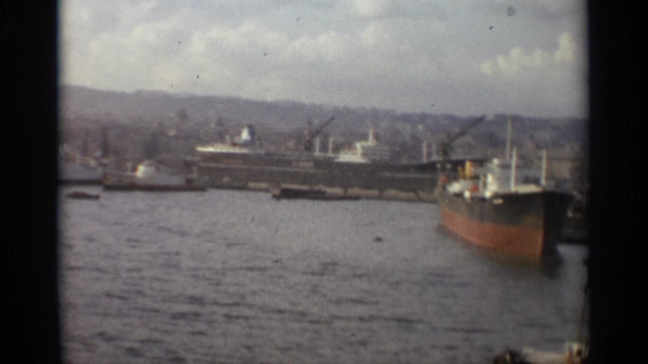Cargo ships and tugboats in a harbor with cranes and a hilly shoreline behind them.