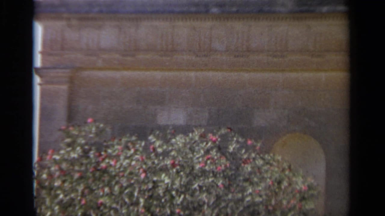 Stone facade with carved horizontal trim, arched recess, and flowering shrubs in front.