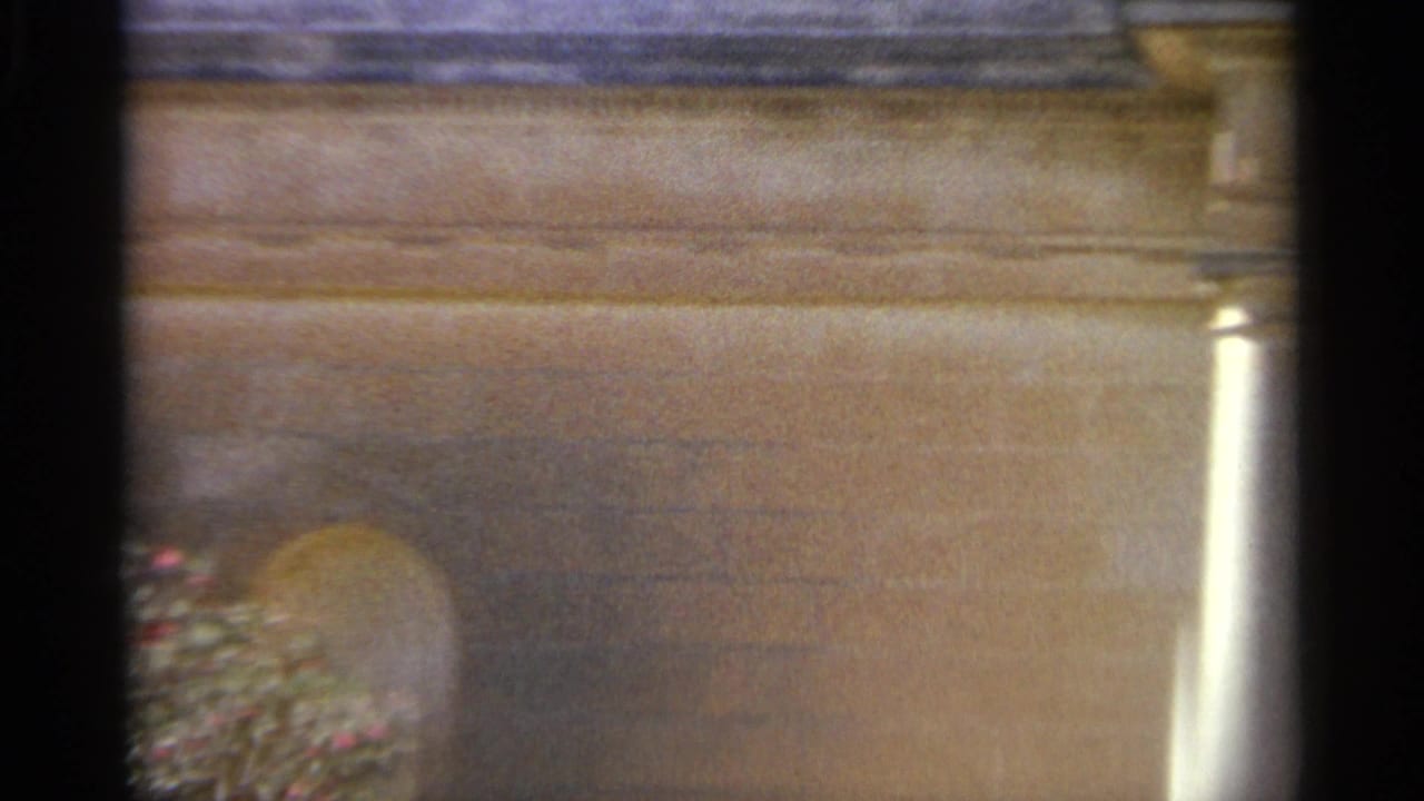 1965 Tangier home-movie frame with a pale stone wall, arched niche, and shrub branches with small red flowers across the lower left.