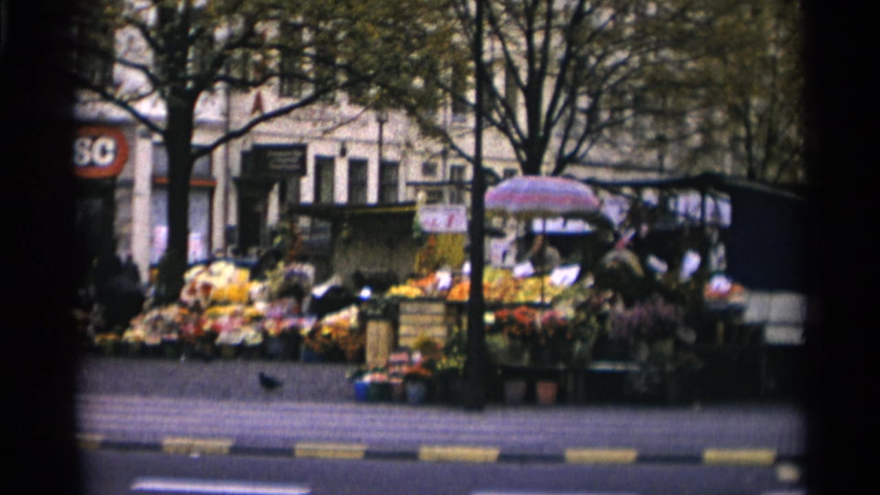Sidewalk flower market with clustered stalls, trees, shoppers, and storefront signs across the street.
